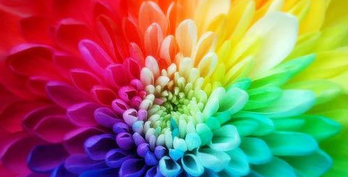 6359477492393750002044180.png 印刷